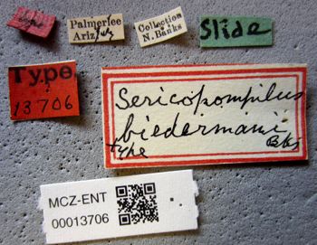 Media type: image;   Entomology 13706 Aspect: labels